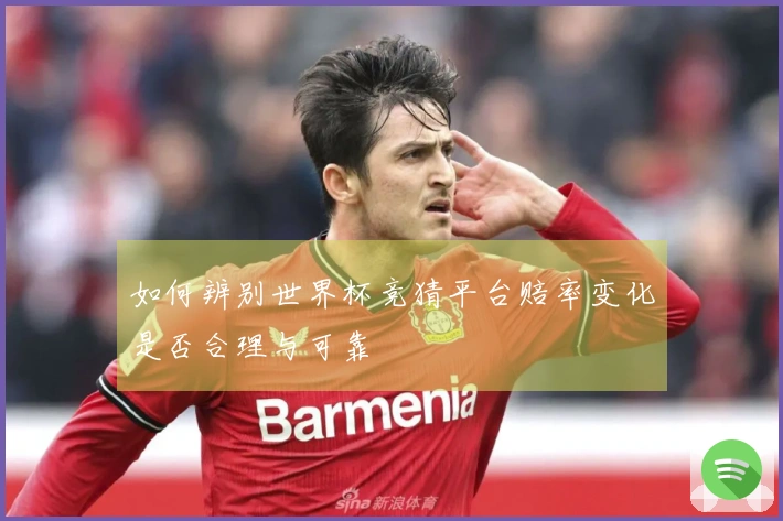 如何辨别世界杯竞猜平台赔率变化是否合理与可靠