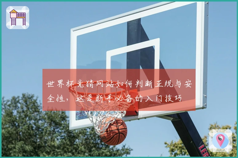 世界杯竞猜网站如何判断正规与安全性，这是新手必备的入门技巧