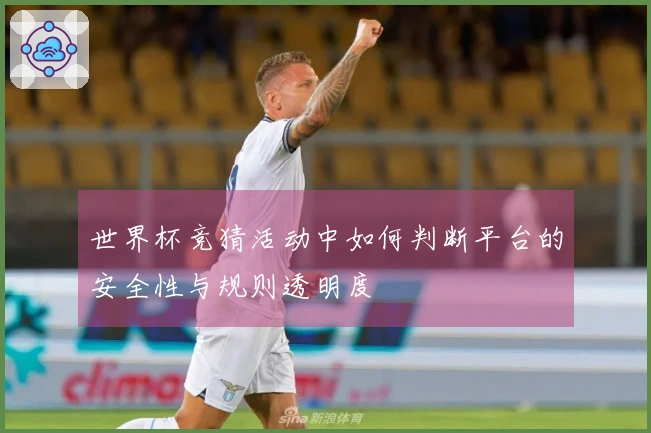 世界杯竞猜活动中如何判断平台的安全性与规则透明度
