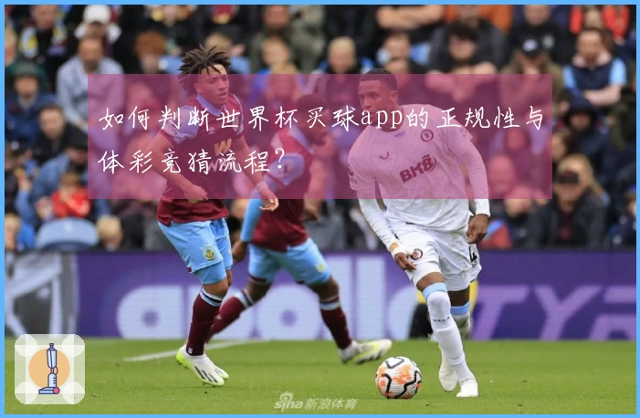 如何判断世界杯买球app的正规性与体彩竞猜流程?