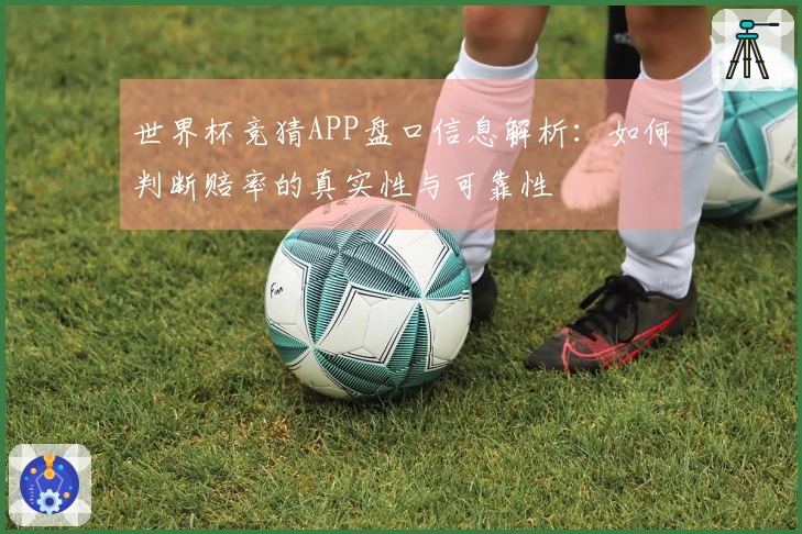 世界杯竞猜APP盘口信息解析：如何判断赔率的真实性与可靠性