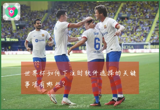 世界杯如何下注时软件选择的关键事项有哪些？