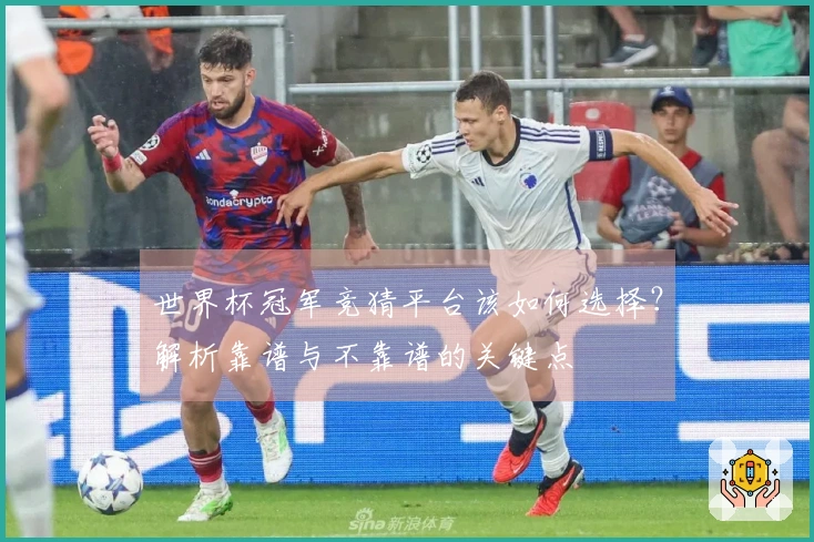 世界杯冠军竞猜平台该如何选择？解析靠谱与不靠谱的关键点