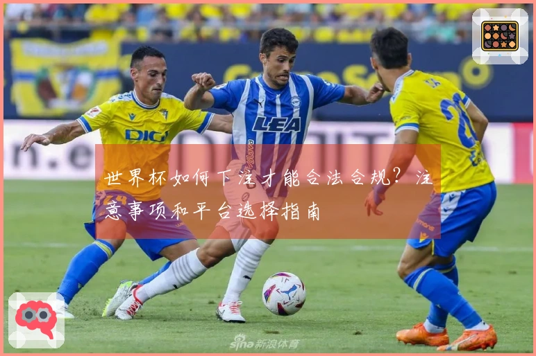 世界杯如何下注才能合法合规？注意事项和平台选择指南