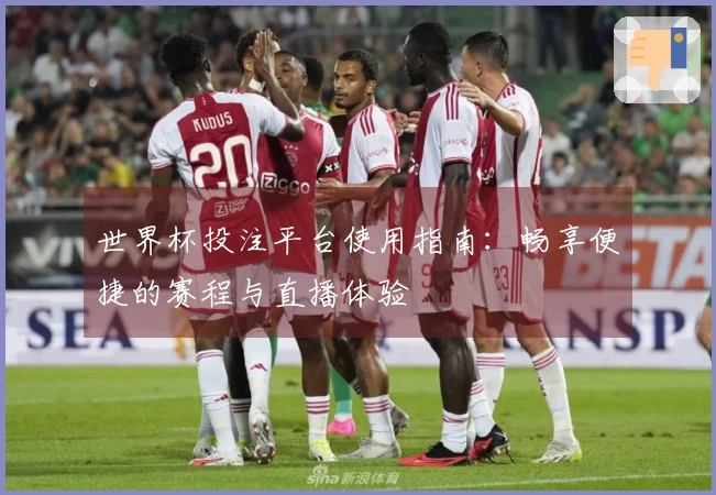 世界杯投注平台使用指南：畅享便捷的赛程与直播体验