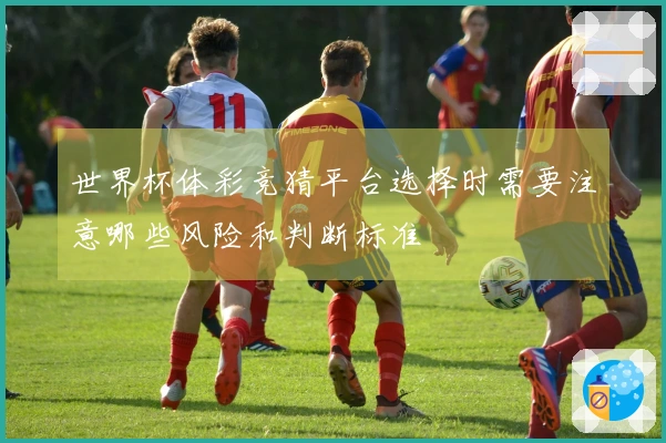 世界杯体彩竞猜平台选择时需要注意哪些风险和判断标准