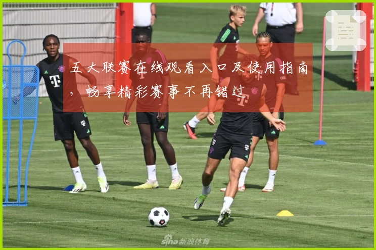 五大联赛在线观看入口及使用指南，畅享精彩赛事不再错过