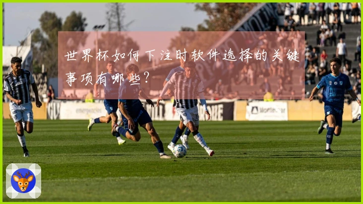 世界杯如何下注时软件选择的关键事项有哪些？