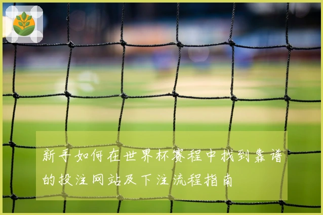 新手如何在世界杯赛程中找到靠谱的投注网站及下注流程指南