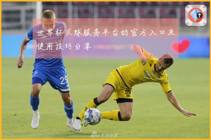 世界杯买球服务平台的官方入口及使用技巧分享