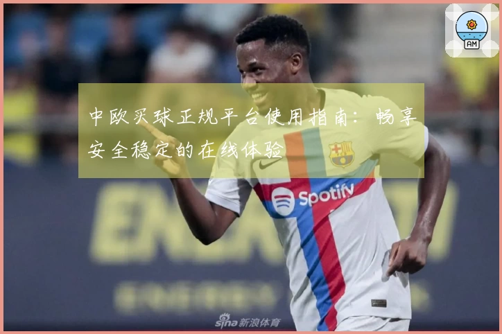 中欧买球正规平台使用指南：畅享安全稳定的在线体验