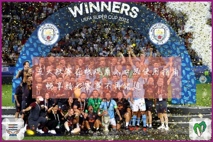 五大联赛在线观看入口及使用指南，畅享精彩赛事不再错过