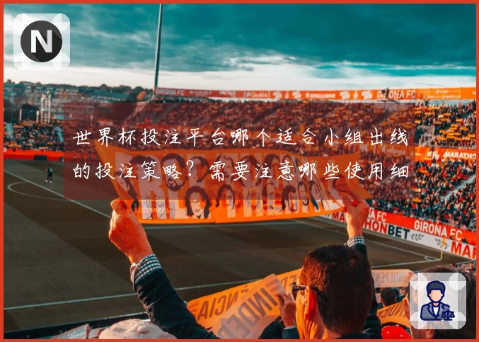 世界杯投注平台哪个适合小组出线的投注策略？需要注意哪些使用细节？