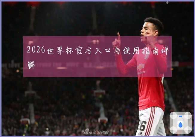 2026世界杯官方入口与使用指南详解