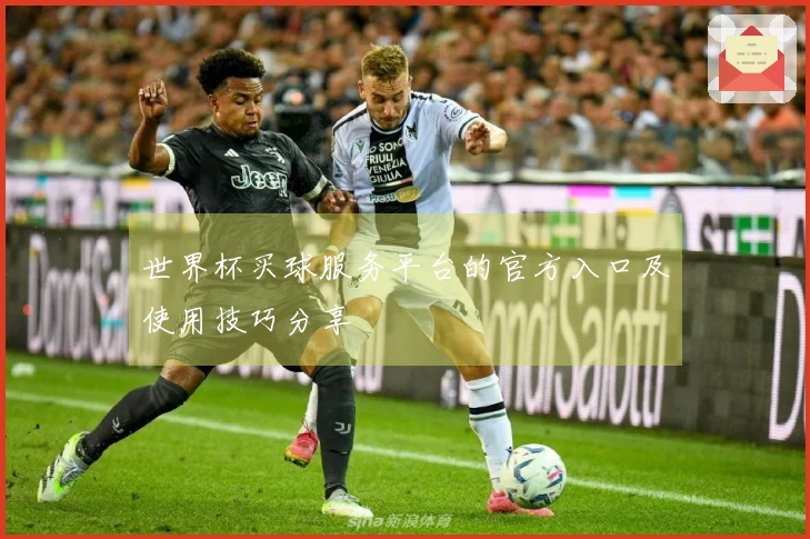 世界杯买球服务平台的官方入口及使用技巧分享
