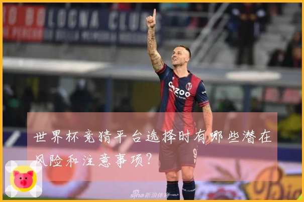 世界杯竞猜平台选择时有哪些潜在风险和注意事项？