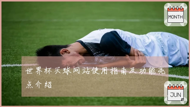 世界杯买球网站使用指南及功能亮点介绍