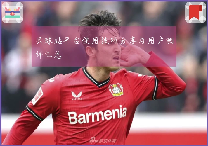 买球站平台使用技巧分享与用户测评汇总