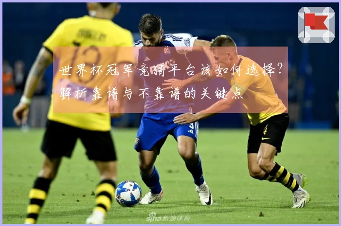 世界杯冠军竞猜平台该如何选择？解析靠谱与不靠谱的关键点