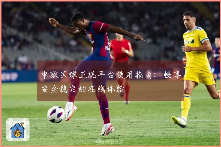 中欧买球正规平台使用指南：畅享安全稳定的在线体验