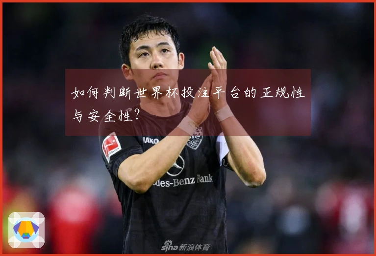 如何判断世界杯投注平台的正规性与安全性？