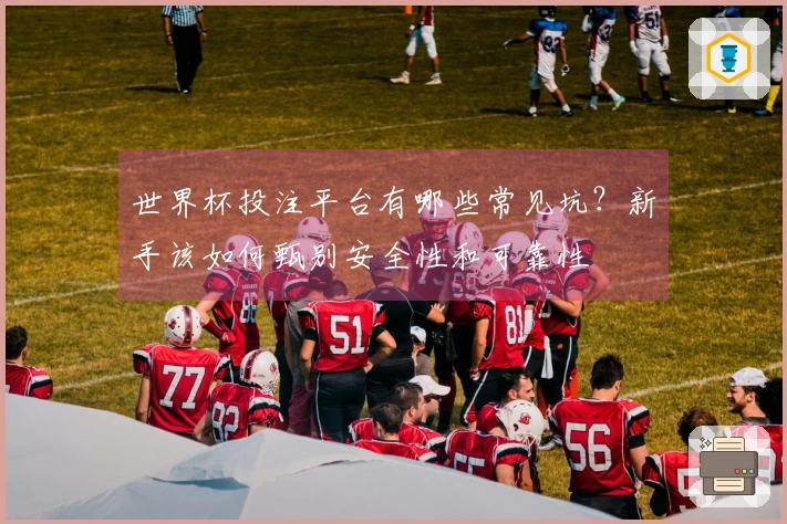 世界杯投注平台有哪些常见坑？新手该如何甄别安全性和可靠性