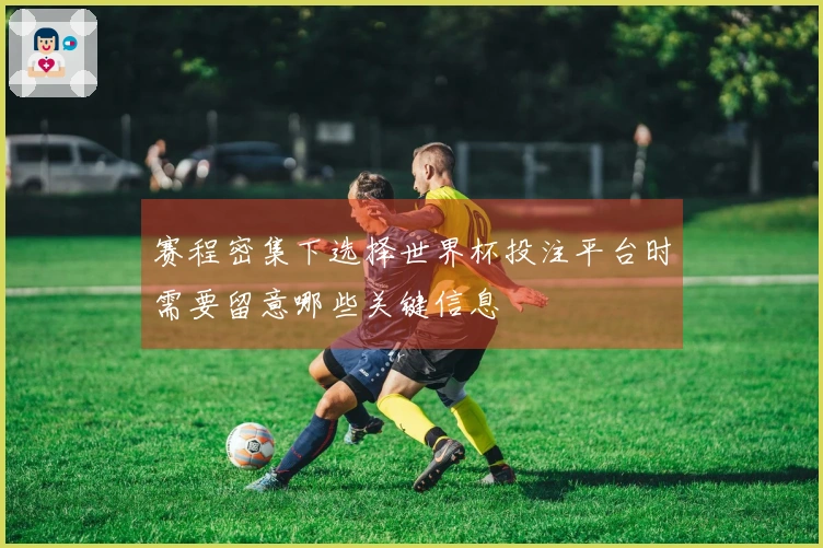 赛程密集下选择世界杯投注平台时需要留意哪些关键信息