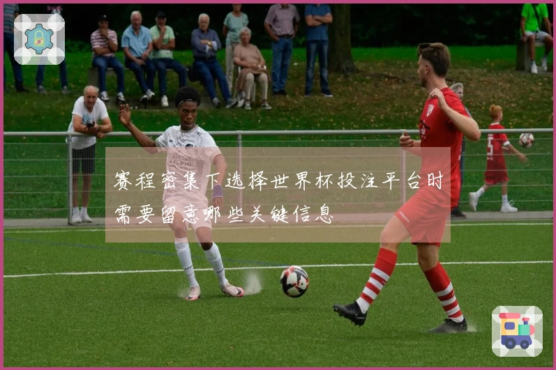 赛程密集下选择世界杯投注平台时需要留意哪些关键信息