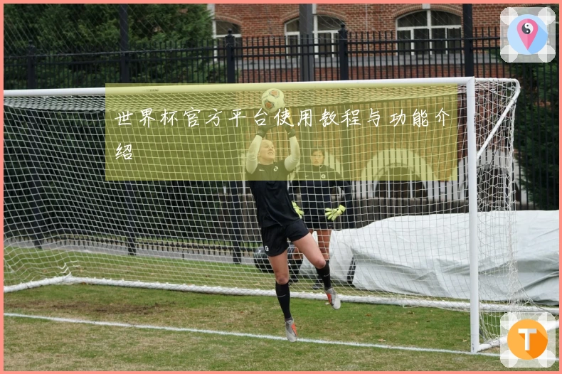 世界杯官方平台使用教程与功能介绍