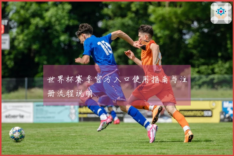世界杯赛季官方入口使用指南与注册流程说明