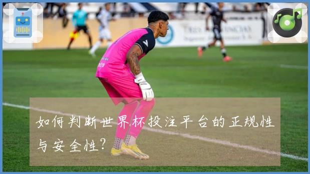 如何判断世界杯投注平台的正规性与安全性？